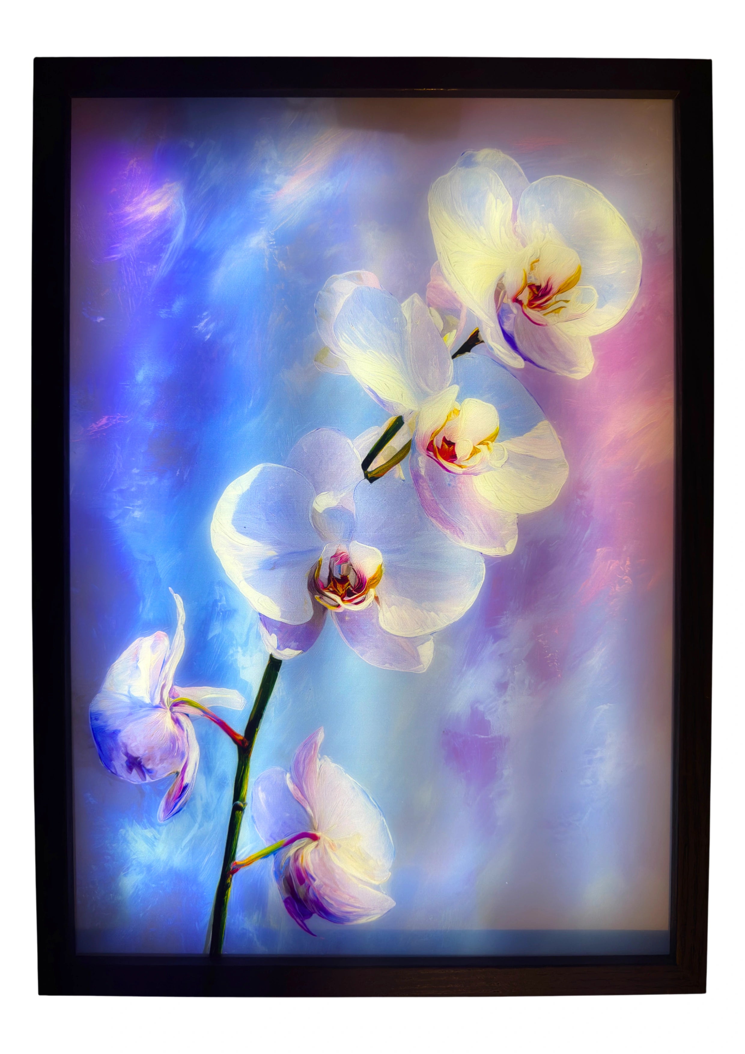 Orchid light up wall art glowing with white and pink flowers against a soft illuminated blue background for ambient lighting.