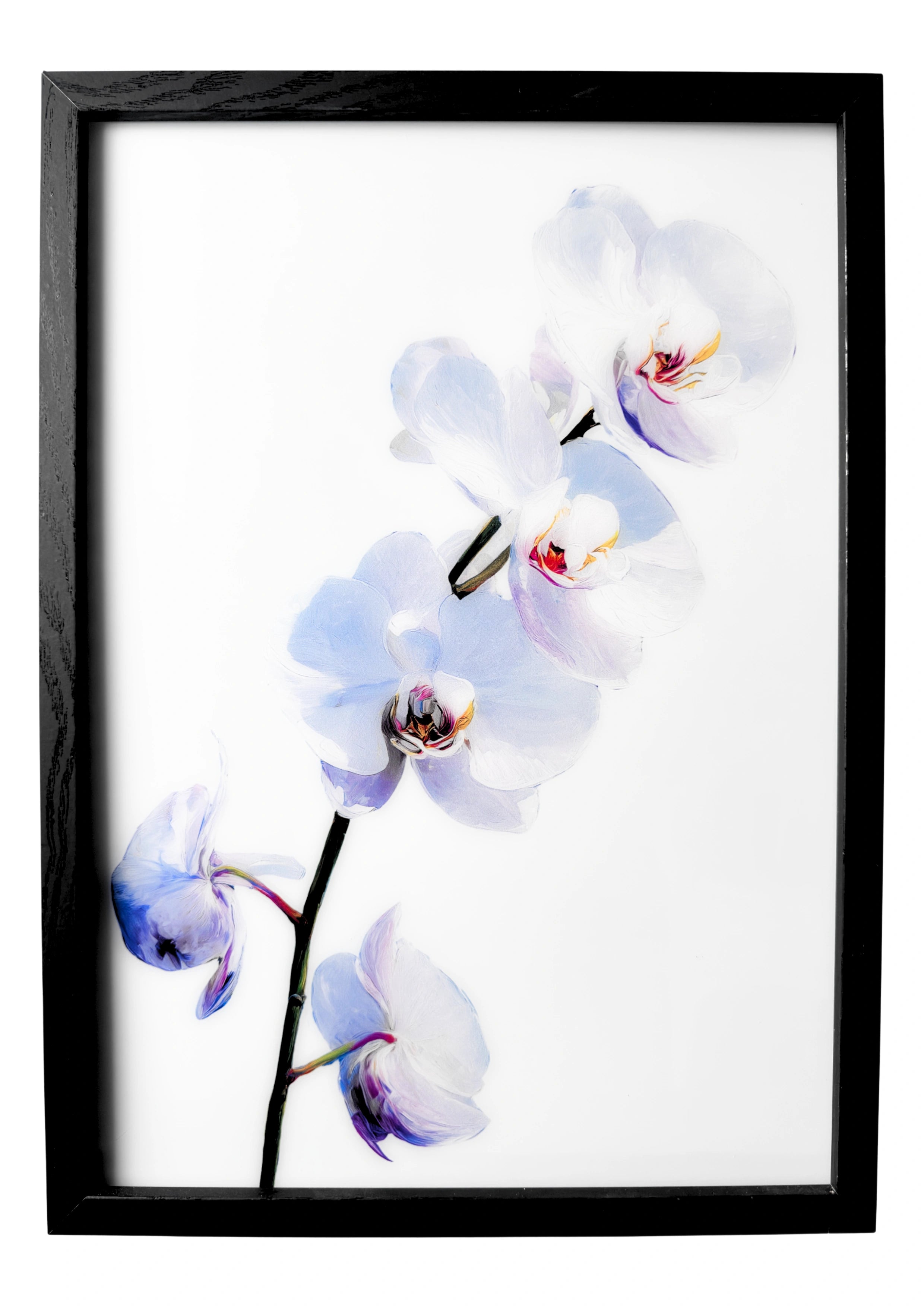 Orchid wall art in a minimalist style, white orchid flowers with soft pink and gold detail against a clean white background.