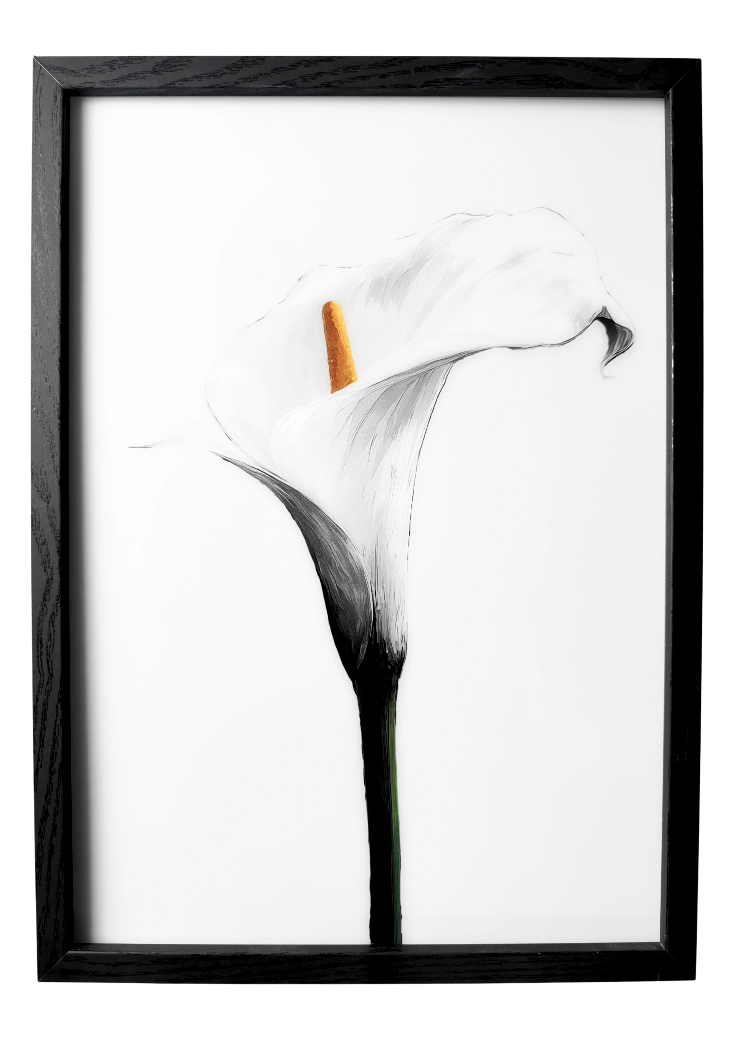Calla lily wall art in a minimalist style, white calla with a golden center against a clean white background.