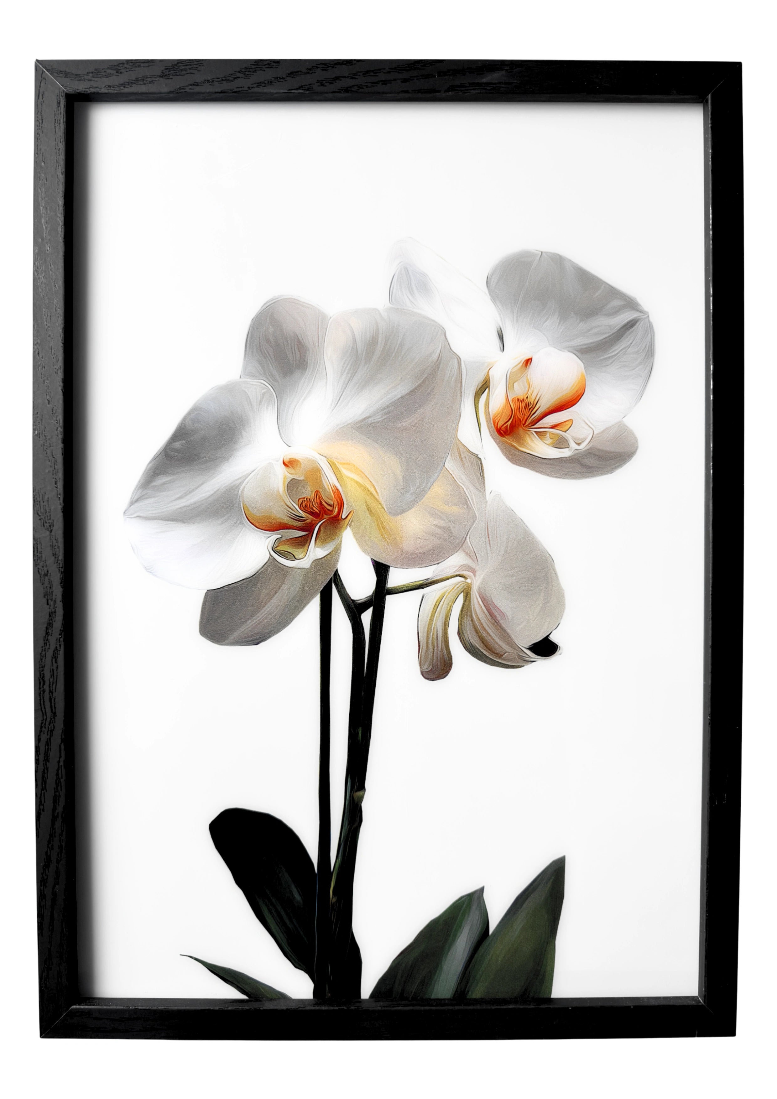 Calla lily wall art in a minimalist style, white calla with a golden center against a clean white background.