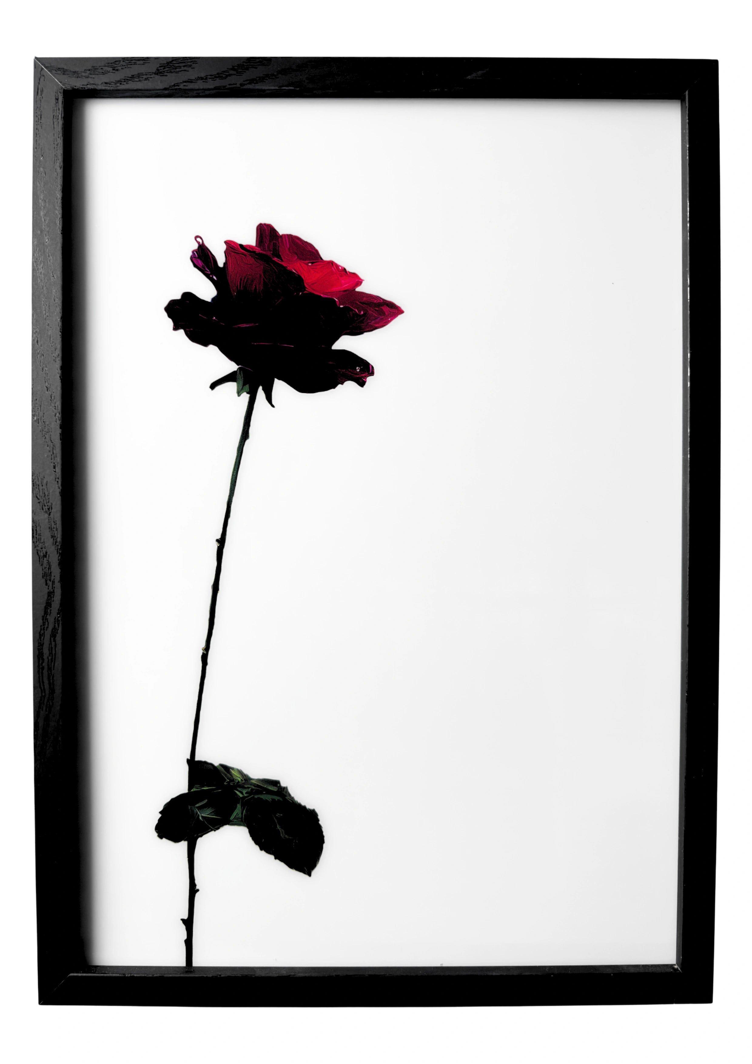 Rose wall art in a minimalist style, single red rose stem and petals against a clean white background.