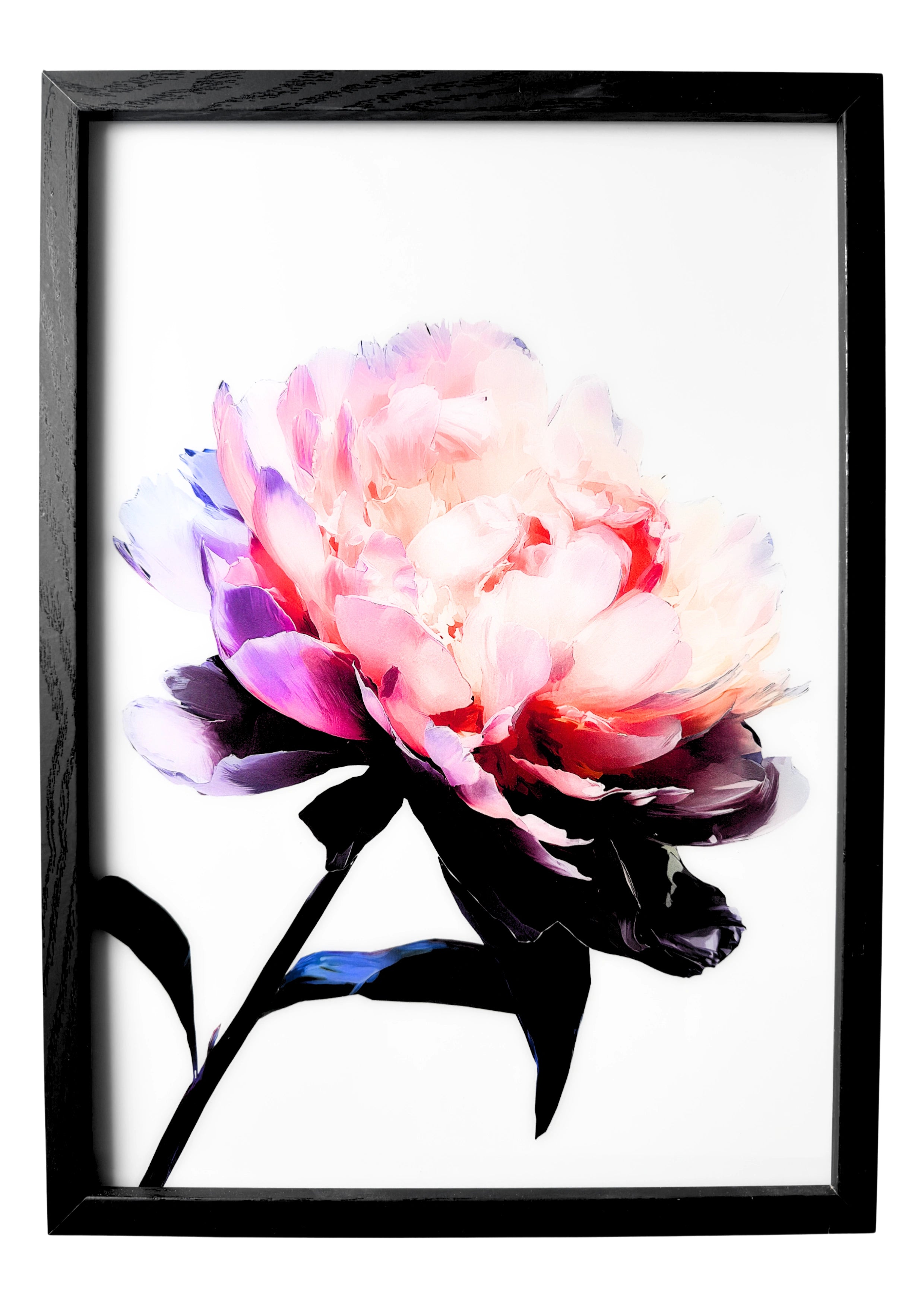 Peony wall art in a minimalist style, soft pink and coral peony petals against a clean white background.