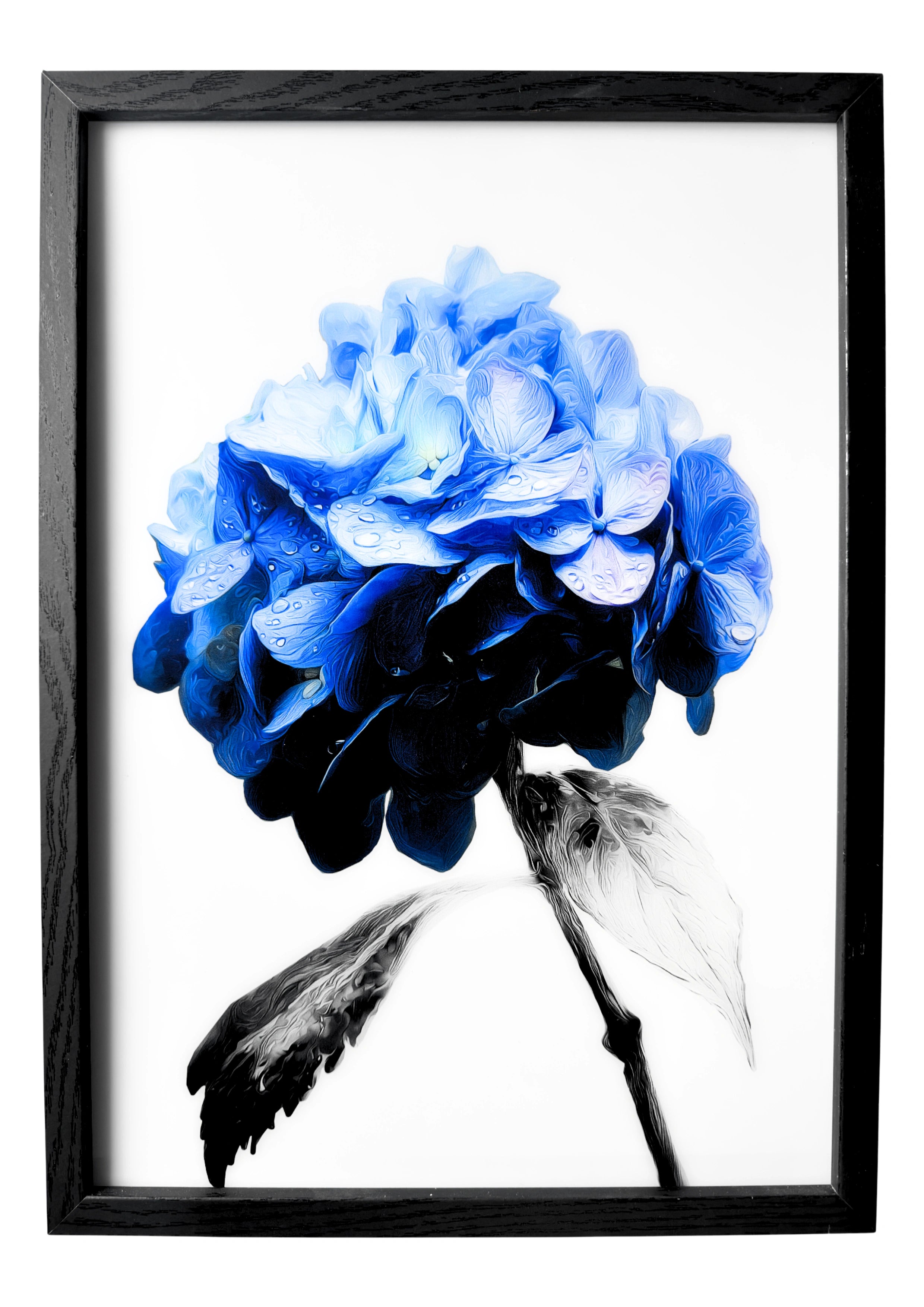 Hydrangea wall art in a minimalist style, blue hydrangea petals and stem against a clean white background.