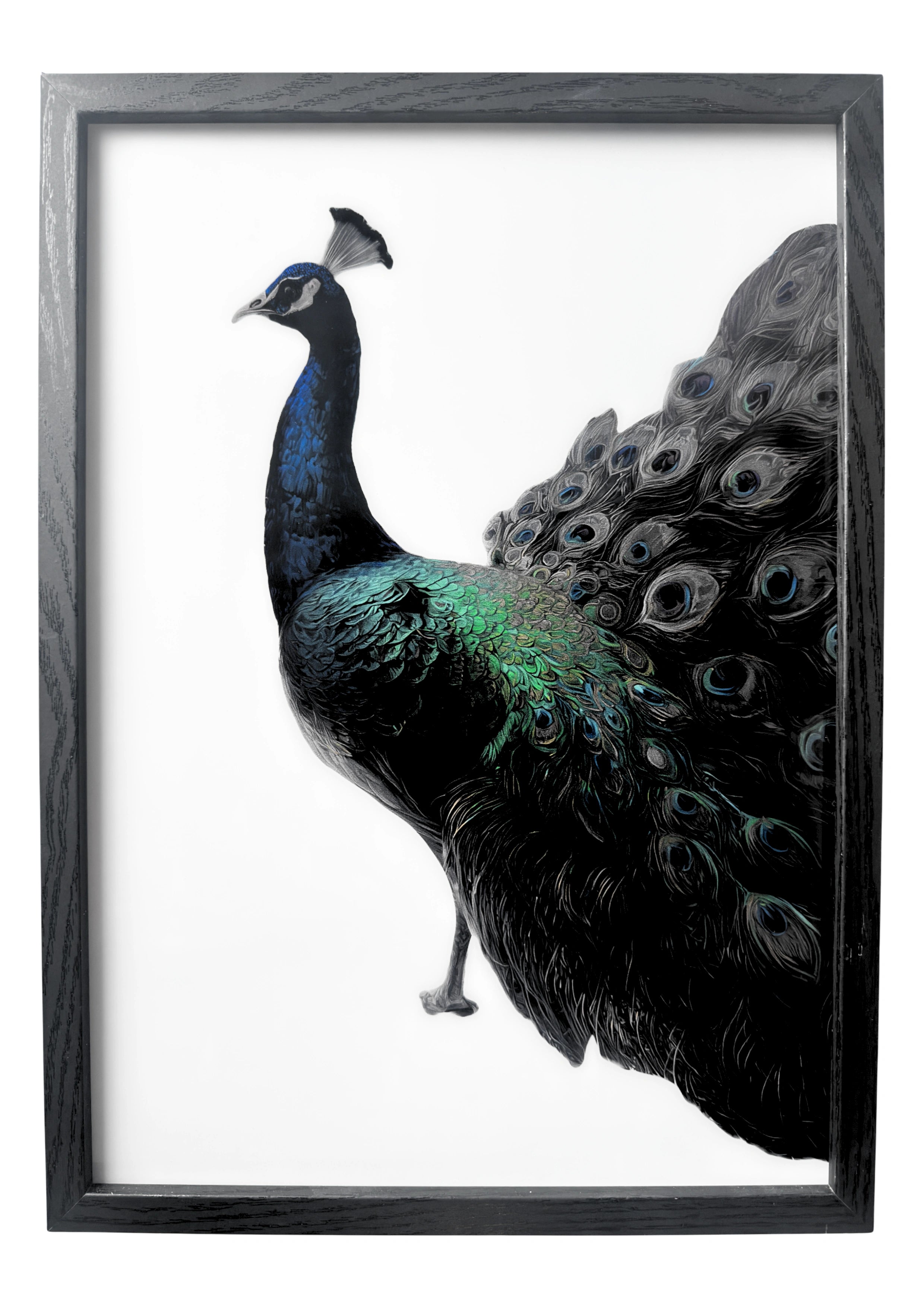 Peacock wall art with emerald and blue feathers, poised in elegant stillness. A framed piece inspired by divine beauty and serenity.